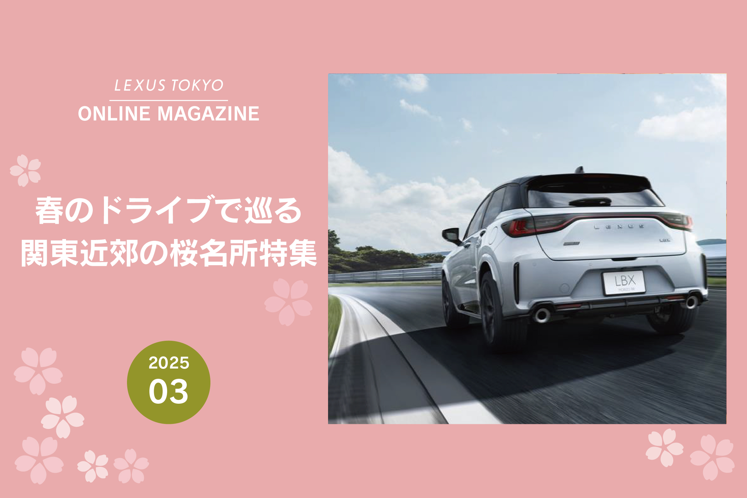 2503｜春のドライブで巡る 関東近郊の桜名所 ｜ONLINE MAGAZINE