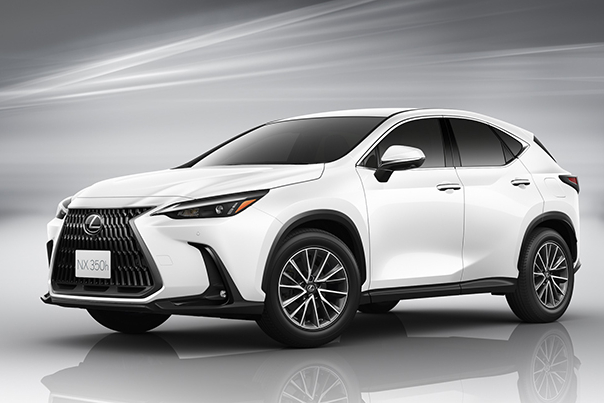 ★レクサス LEXUS NX トノカバー 10系★ 000000011049.jpg