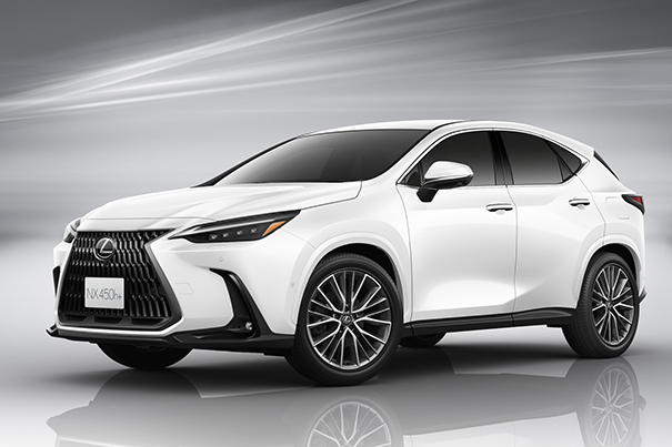★レクサス LEXUS NX トノカバー 10系★ night様専用】LEXUS NX 純正トノカバーの通販 by しあわせ筋肉
