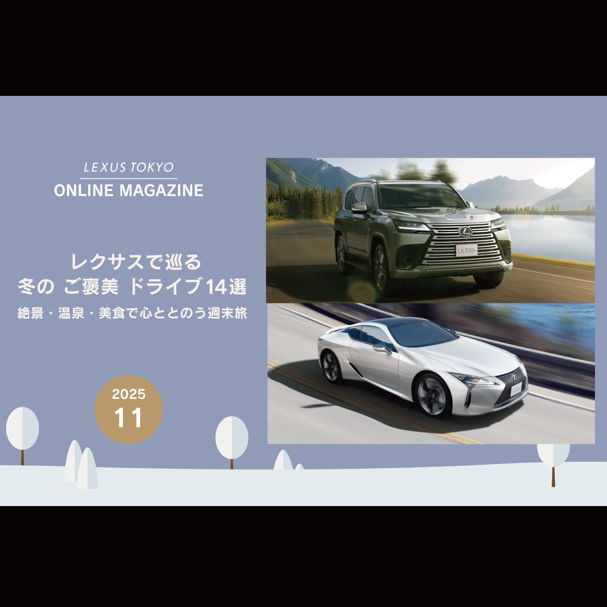 11月ジャンル別-2