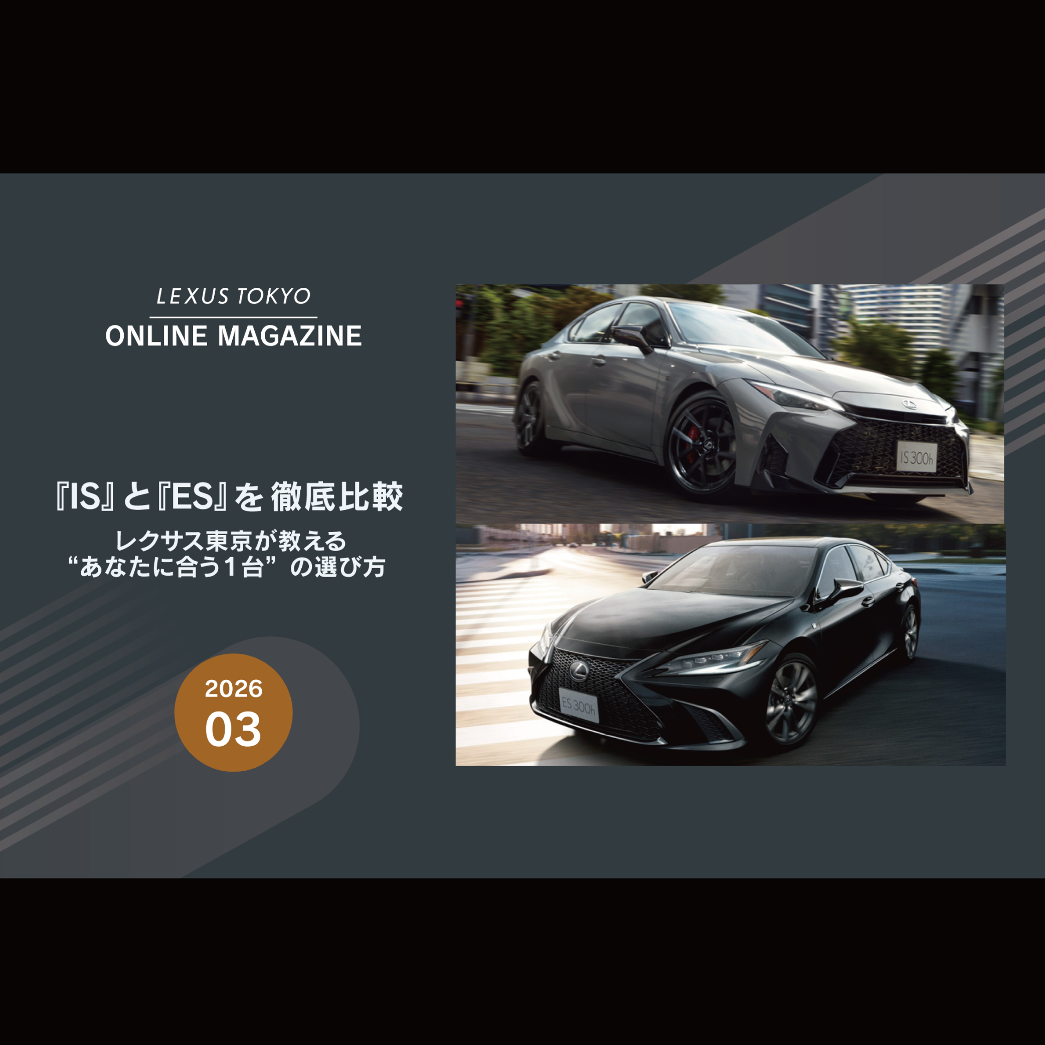 3月記事ジャンル別